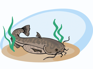 pesce-gatto-immagine-animata-0003