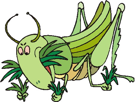 cavalletta-immagine-animata-0009