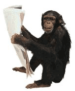 scimmia-immagine-animata-0023