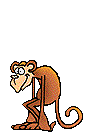 scimmia-immagine-animata-0054