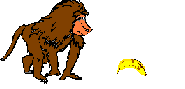 scimmia-immagine-animata-0116