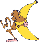 scimmia-immagine-animata-0149
