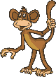 scimmia-immagine-animata-0182