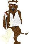 veterinario-immagine-animata-0011
