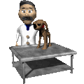 veterinario-immagine-animata-0050