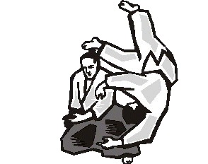 aikido-immagine-animata-0017