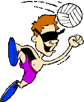 beach-volley-immagine-animata-0024