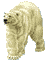orso-immagine-animata-0002