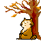 orso-immagine-animata-0131