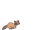 orso-immagine-animata-0153