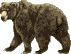orso-immagine-animata-0177