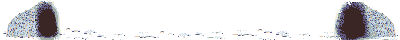 orso-immagine-animata-0204