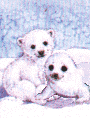 orso-immagine-animata-0241