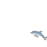 delfino-immagine-animata-0006