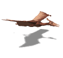 dinosauro-immagine-animata-0075
