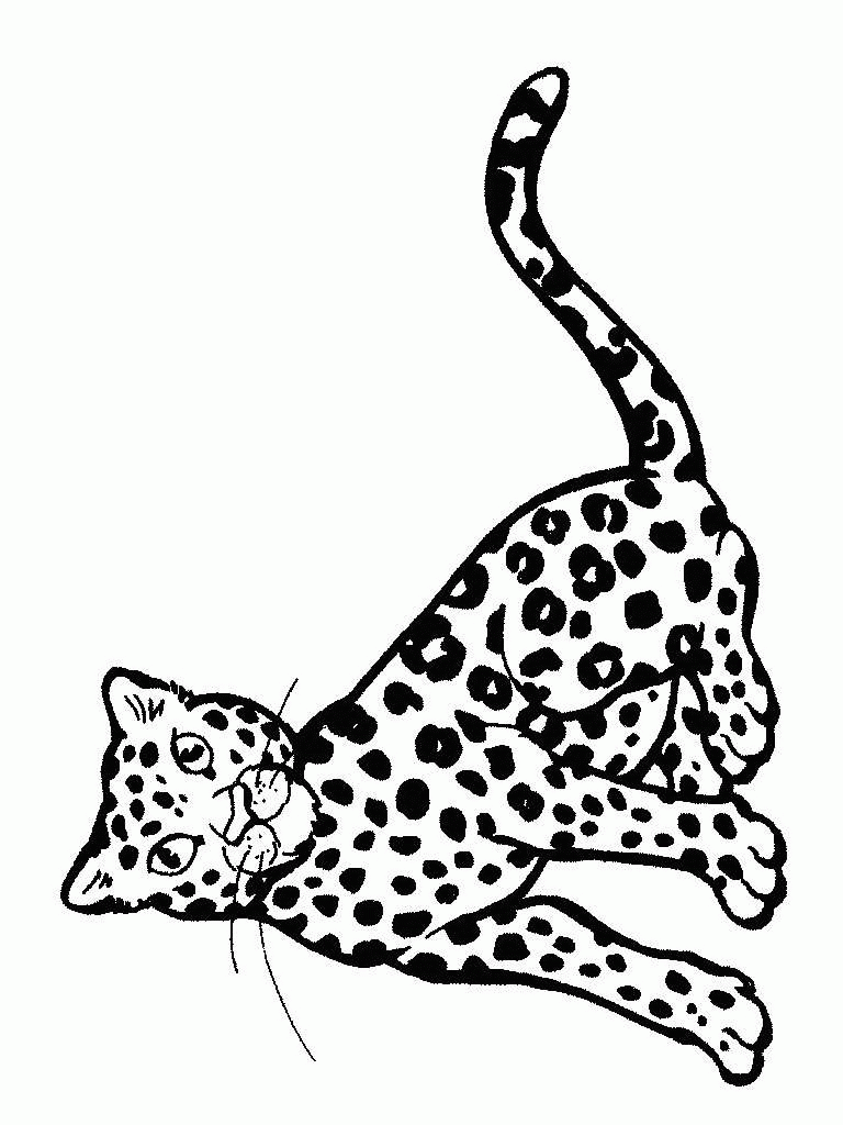 ghepardo-da-colorare-immagine-animata-0013
