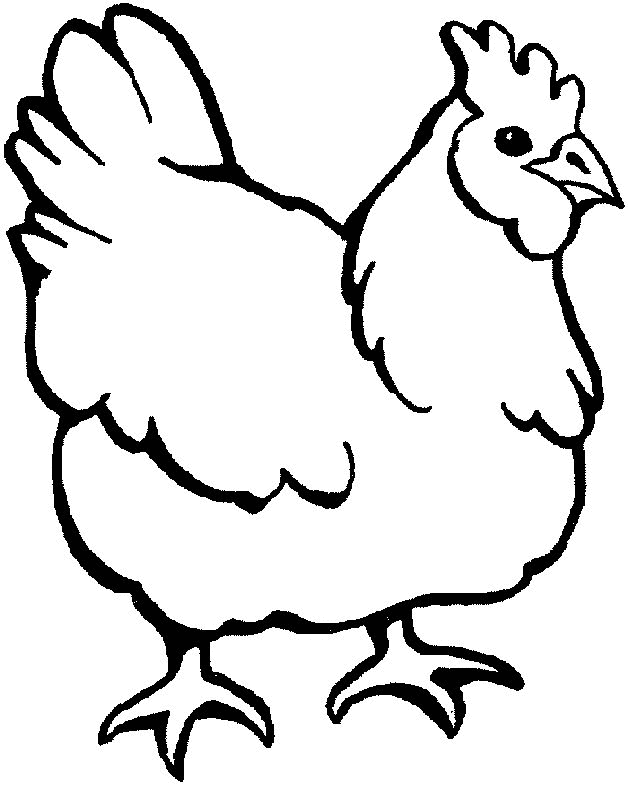pollo-da-colorare-immagine-animata-0010