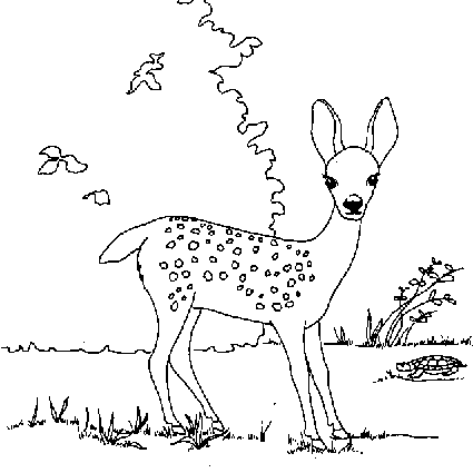 cervo-da-colorare-immagine-animata-0012