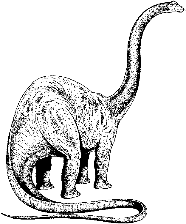 dinosauro-da-colorare-immagine-animata-0006