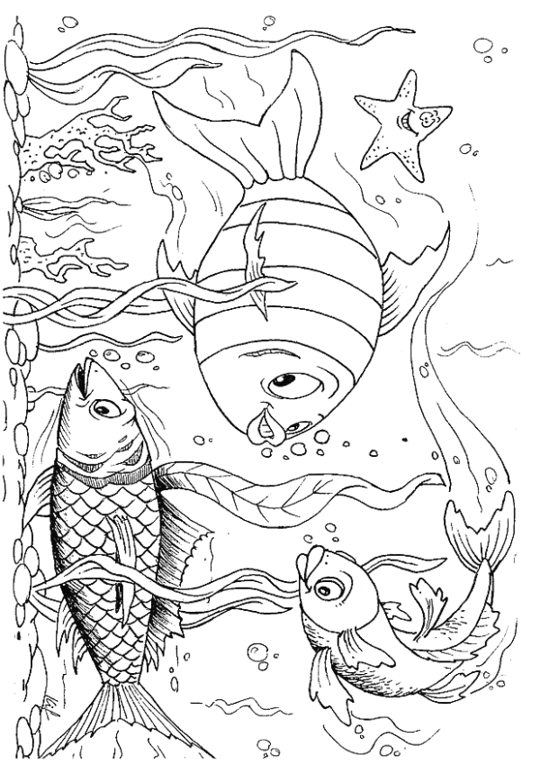 pesce-da-colorare-immagine-animata-0060