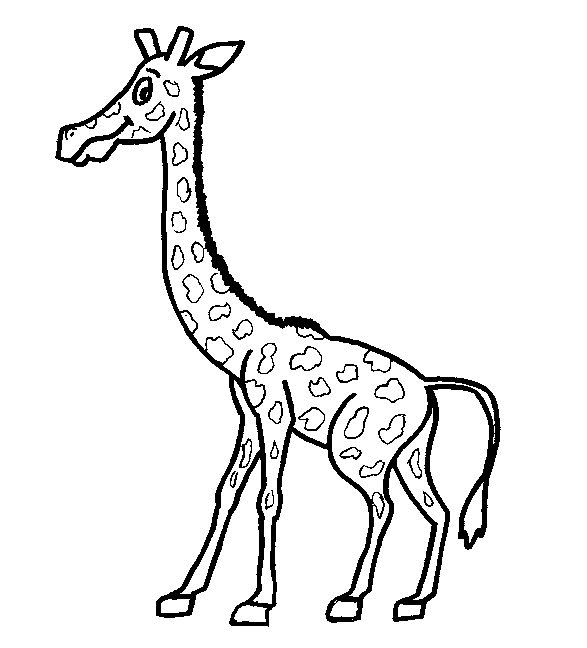 giraffa-da-colorare-immagine-animata-0002
