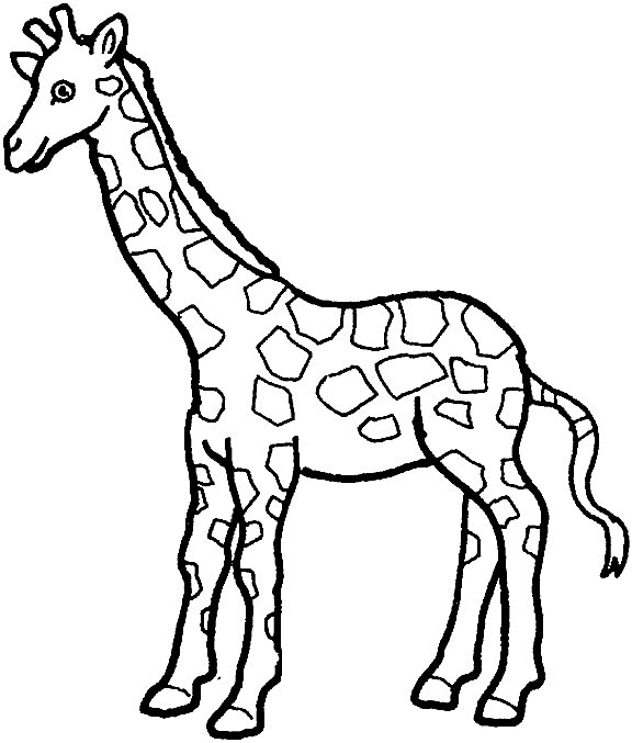 giraffa-da-colorare-immagine-animata-0016