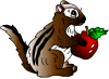 scoiattolo-immagine-animata-0015