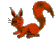 scoiattolo-immagine-animata-0025