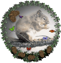 scoiattolo-immagine-animata-0066