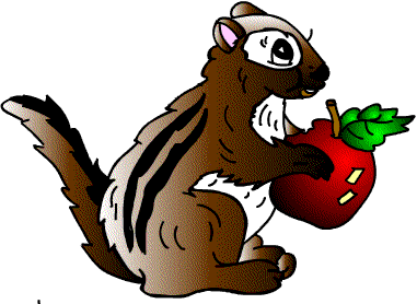 scoiattolo-immagine-animata-0069