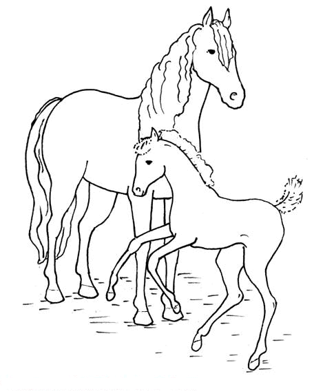 cavallo-da-colorare-immagine-animata-0014