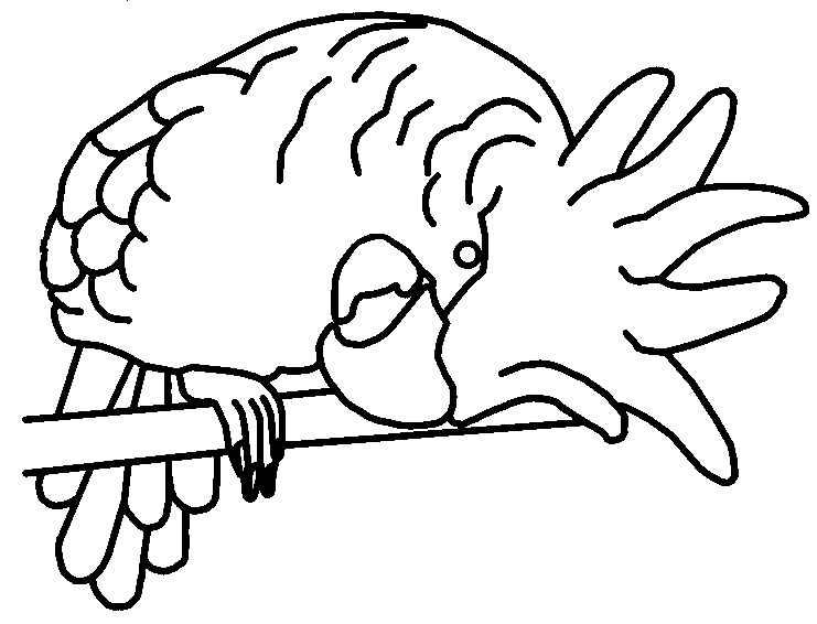 pappagallo-da-colorare-immagine-animata-0003