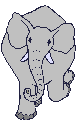 elefante-immagine-animata-0125