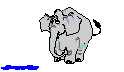 elefante-immagine-animata-0150