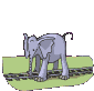 elefante-immagine-animata-0168