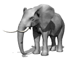 elefante-immagine-animata-0350