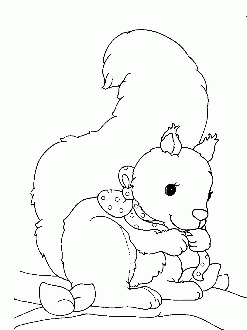 scoiattolo-da-colorare-immagine-animata-0016