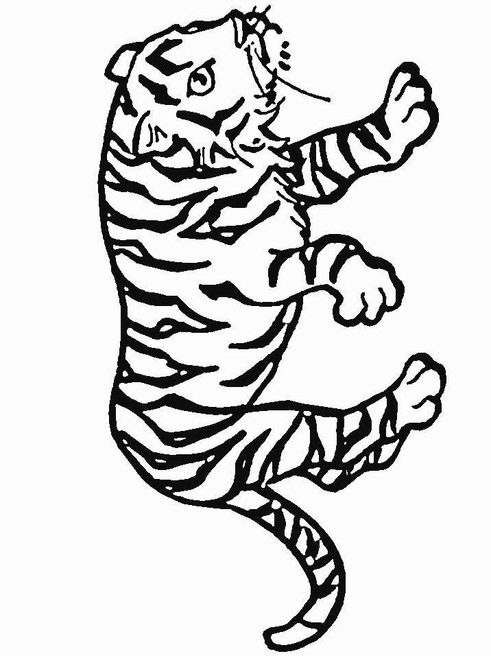 tigre-da-colorare-immagine-animata-0003