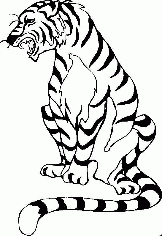 tigre-da-colorare-immagine-animata-0006