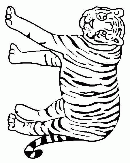 tigre-da-colorare-immagine-animata-0014