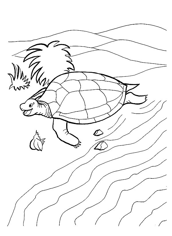 tartaruga-da-colorare-immagine-animata-0008