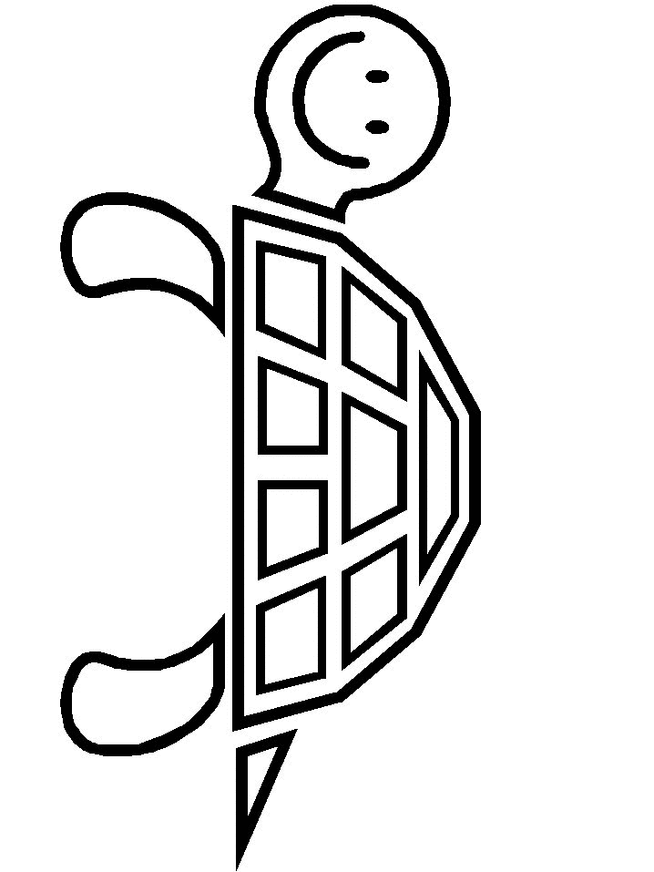 tartaruga-da-colorare-immagine-animata-0011