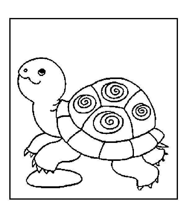 tartaruga-da-colorare-immagine-animata-0015