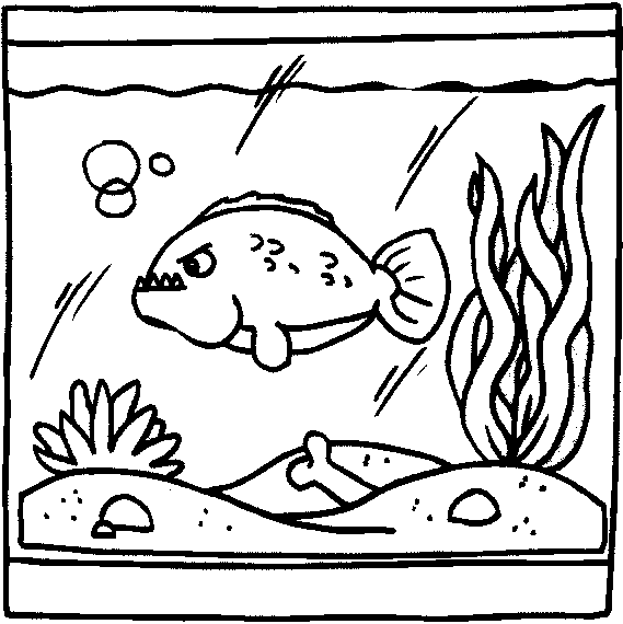 acquario-da-colorare-immagine-animata-0012
