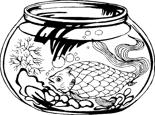 acquario-da-colorare-immagine-animata-0020