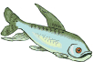 pesce-immagine-animata-0054