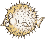 pesce-immagine-animata-0403