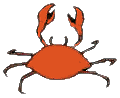 granchio-immagine-animata-0022