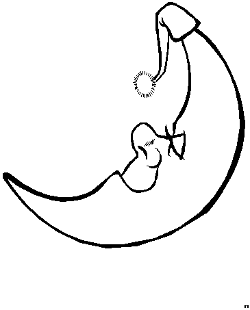 luna-da-colorare-immagine-animata-0008