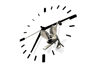 mosca-immagine-animata-0024